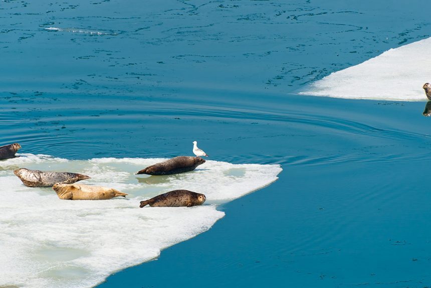 Preserve the Water: Think  outside the sink!
