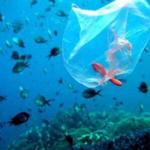 «Σκουπιδότοπος» ο Πατραϊκός – 500 απορρίμματα ανά τετραγωνικό χιλιόμετρο!