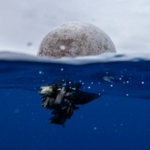More than 170 trillion plastic particles found in the ocean as pollution reaches ‘unprecedented’ levels