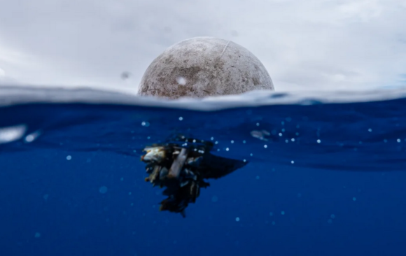 More than 170 trillion plastic particles found in the ocean as pollution reaches ‘unprecedented’ levels