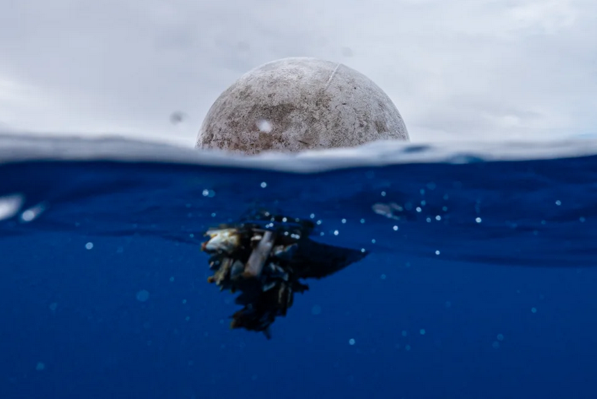 More than 170 trillion plastic particles found in the ocean as pollution reaches ‘unprecedented’ levels