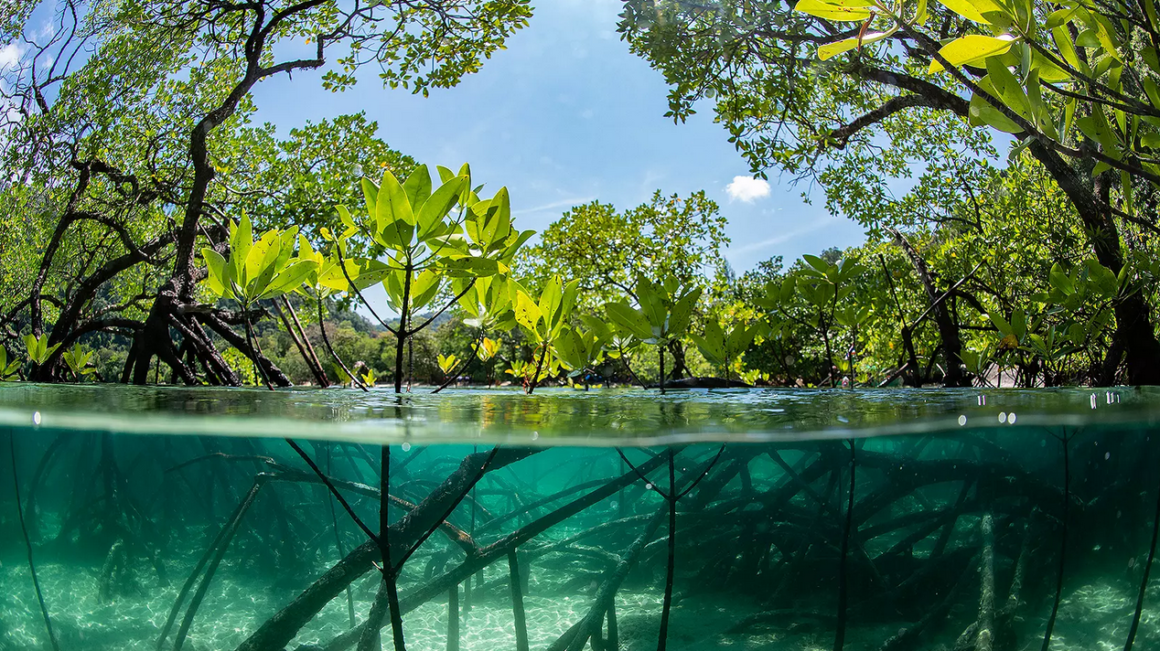 How Climate Change affects coastal zones