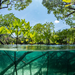 How Climate Change affects coastal zones