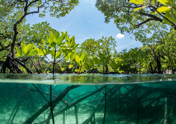 How Climate Change affects coastal zones