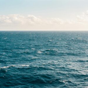 H SaveCoast στο 9o Διεθνές Συνέδριο OurOcean