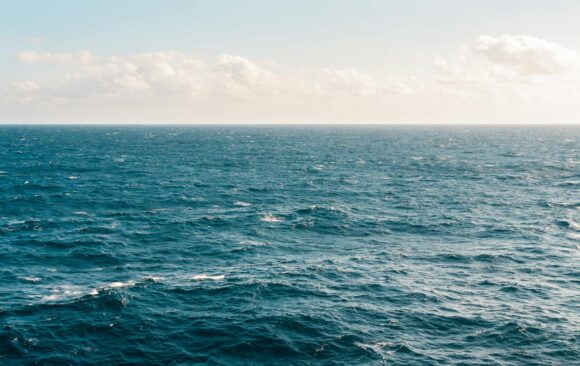 H SaveCoast στο 9o Διεθνές Συνέδριο OurOcean