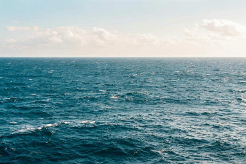 H SaveCoast στο 9o Διεθνές Συνέδριο OurOcean